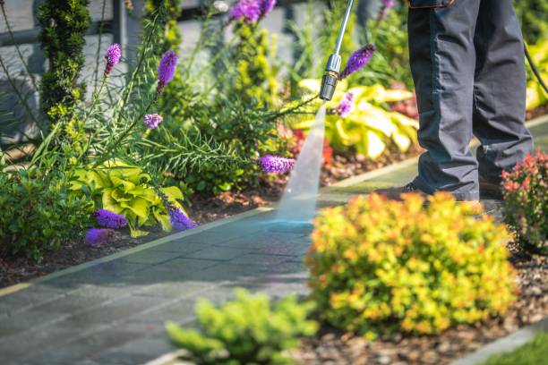 Best Pre-Holiday Cleaning  in South Laurel, MD