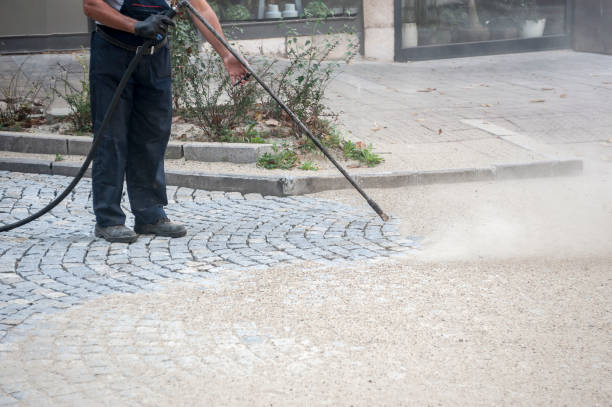 Best Patio and Deck Pressure Washing  in South Laurel, MD